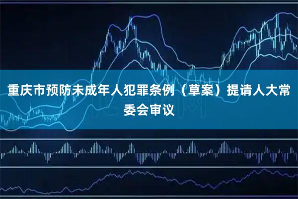 重庆市预防未成年人犯罪条例（草案）提请人大常委会审议